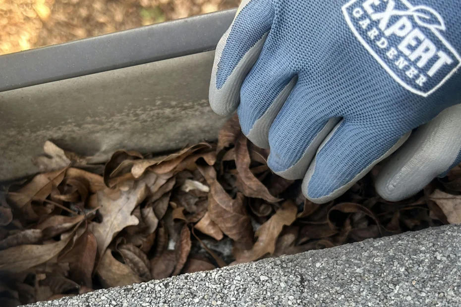 Gutter Cleaning Webster Groves