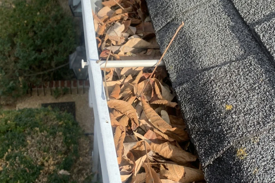 Gutter Cleaning Webster Groves