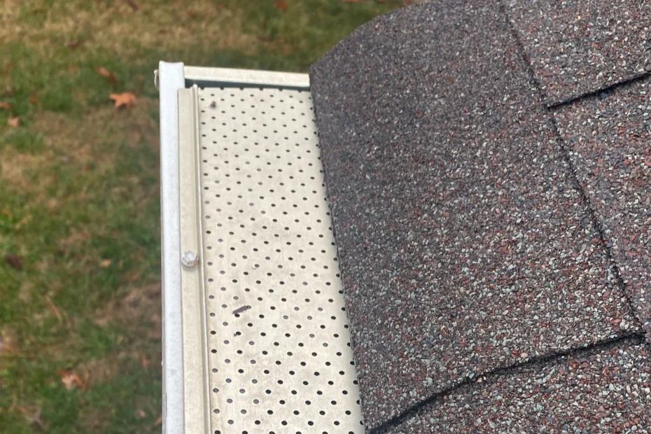 Gutter Cleaning Webster Groves