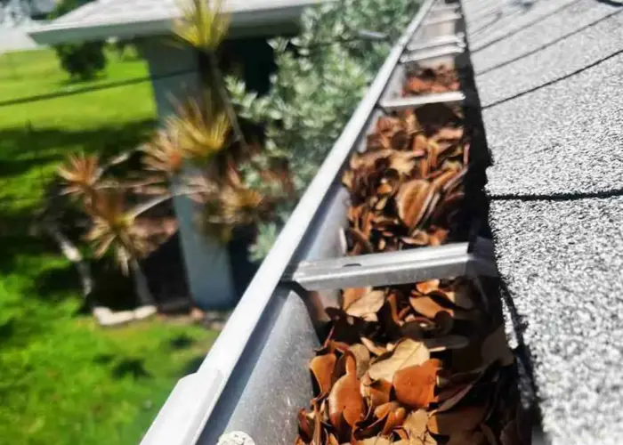 Gutter Cleaning Webster Groves home page